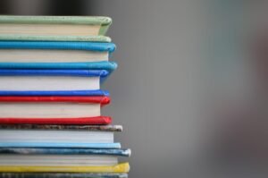 Gesellschaftsspiel Dora Zwickau – hedendaagse Duitse roman over macht en verbinding